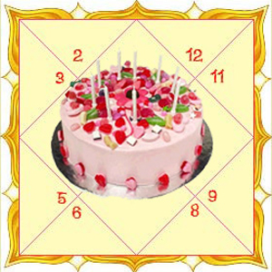 Expert Birthday Astrology Services in Gulabi Bagh