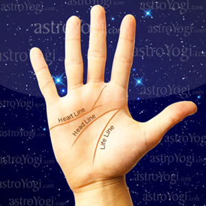 Expert Palm Reader Services in Kapashera