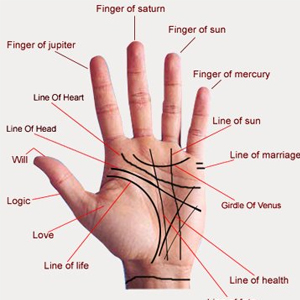 Palmistry Course Model Town