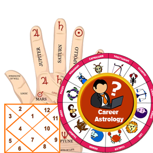 Buy Career Astrologer Online in Delhi 