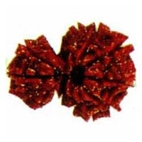 Garbh Gauri Rudraksha in Delhi