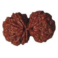 Gauri Shankar Rudraksha in Delhi