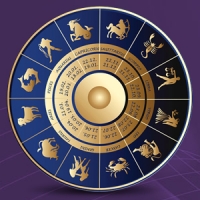 Expert Vedic Astrologer Services in Delhi