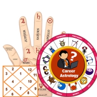 Career Astrologer in Delhi